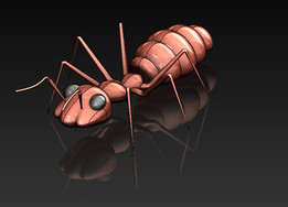 Ant��Solidworks��