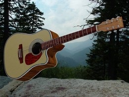 Martin D16-GTE������