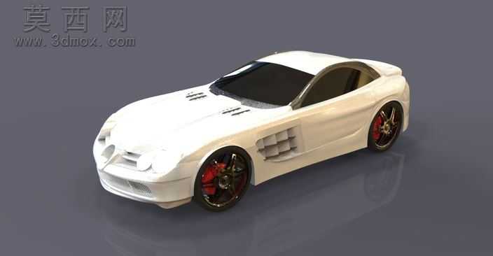 ����������SLR
