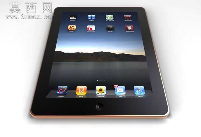 iPad
