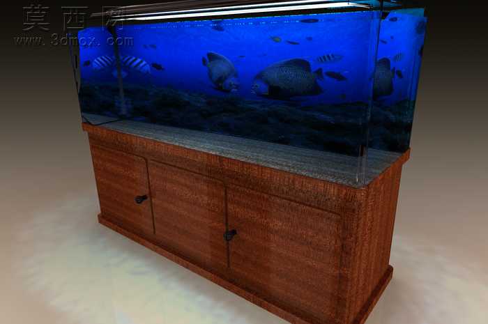 水族馆的鱼-38模型,100 效果图,一次下载!