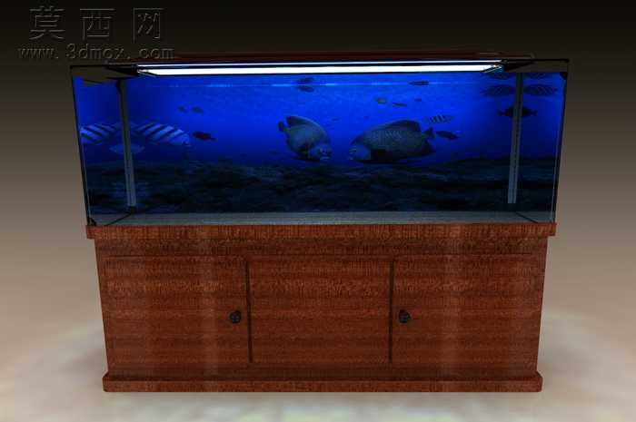 水族馆的鱼-38模型,100 效果图,一次下载!