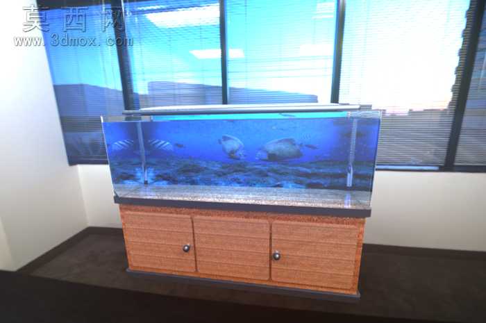 水族馆的鱼-38模型,100 效果图,一次下载!