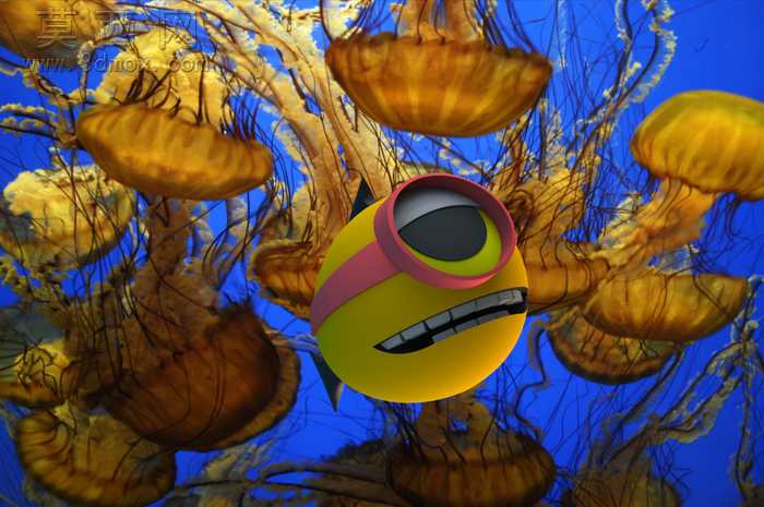 水族馆的鱼-38模型,100 效果图,一次下载!
