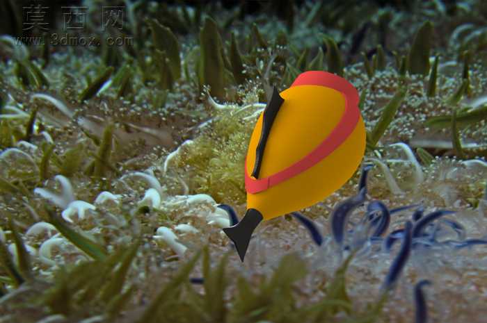 水族馆的鱼-38模型,100 效果图,一次下载!