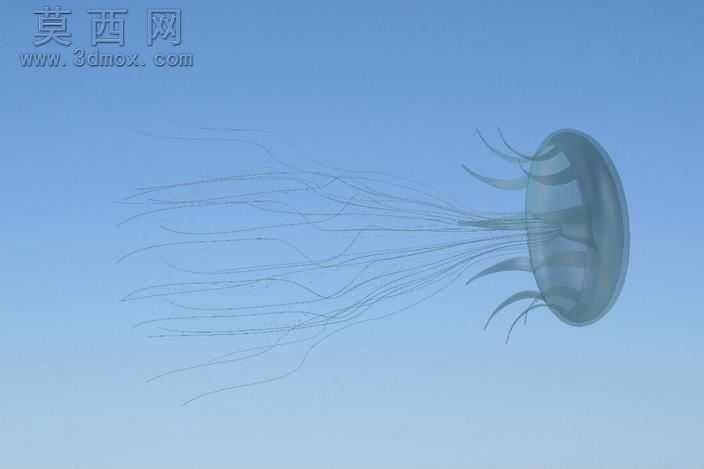 水族馆的鱼-38模型,100 效果图,一次下载!