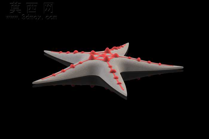 水族馆的鱼-38模型,100 效果图,一次下载!