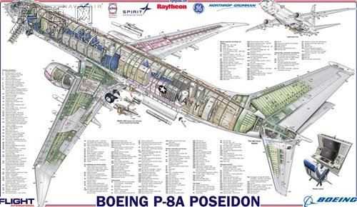 ������˾P-8������
