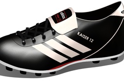 ���ϴ�˹Kaiser2012����(��������)
