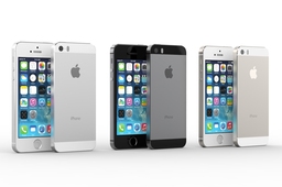iPhone5S
