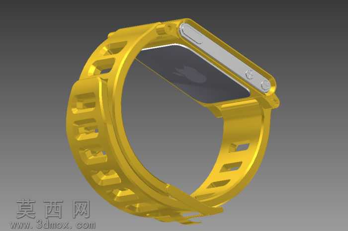iPodNanoiWatch
