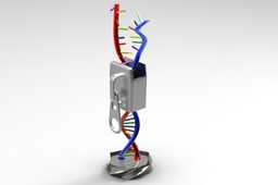 DNA����