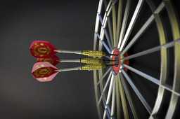 Dart

