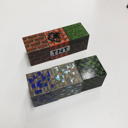 3D��ӡMinecraft brocks