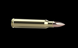 .223 REM FMJ
