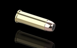 .44����JHP
