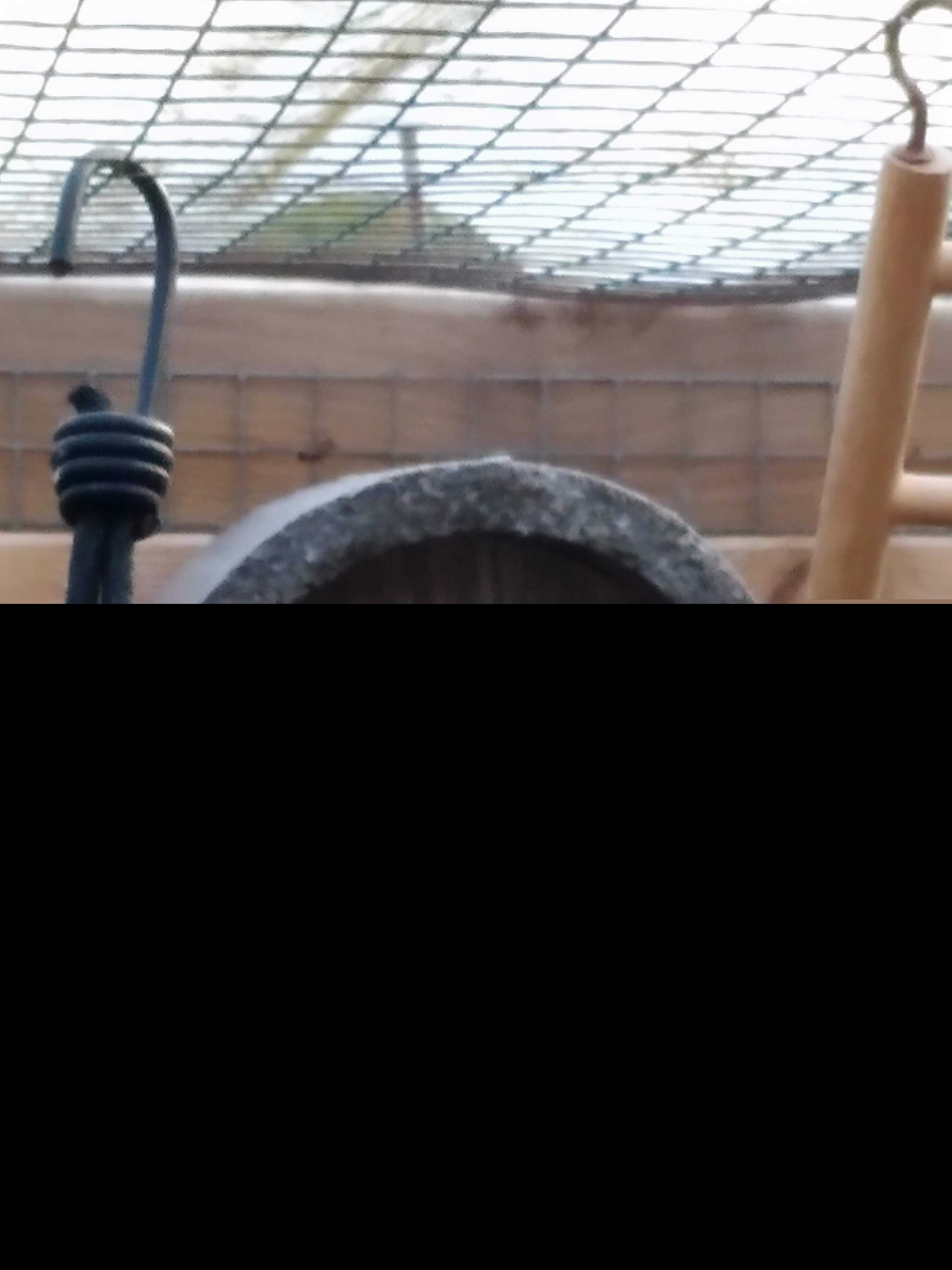 Nestkast EPP | Birdnest EPP