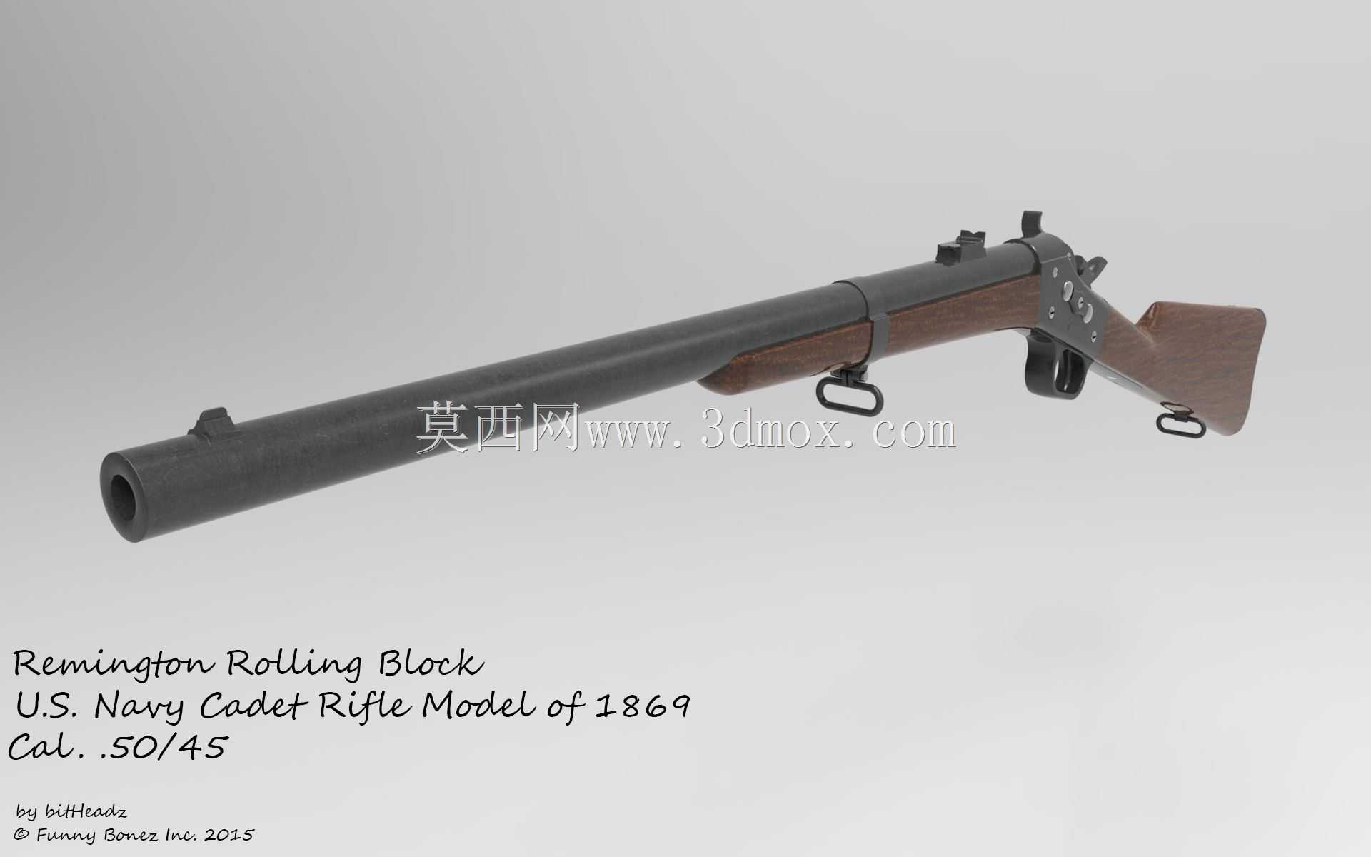 美国海军学员步枪型号1869 Cal。50/45