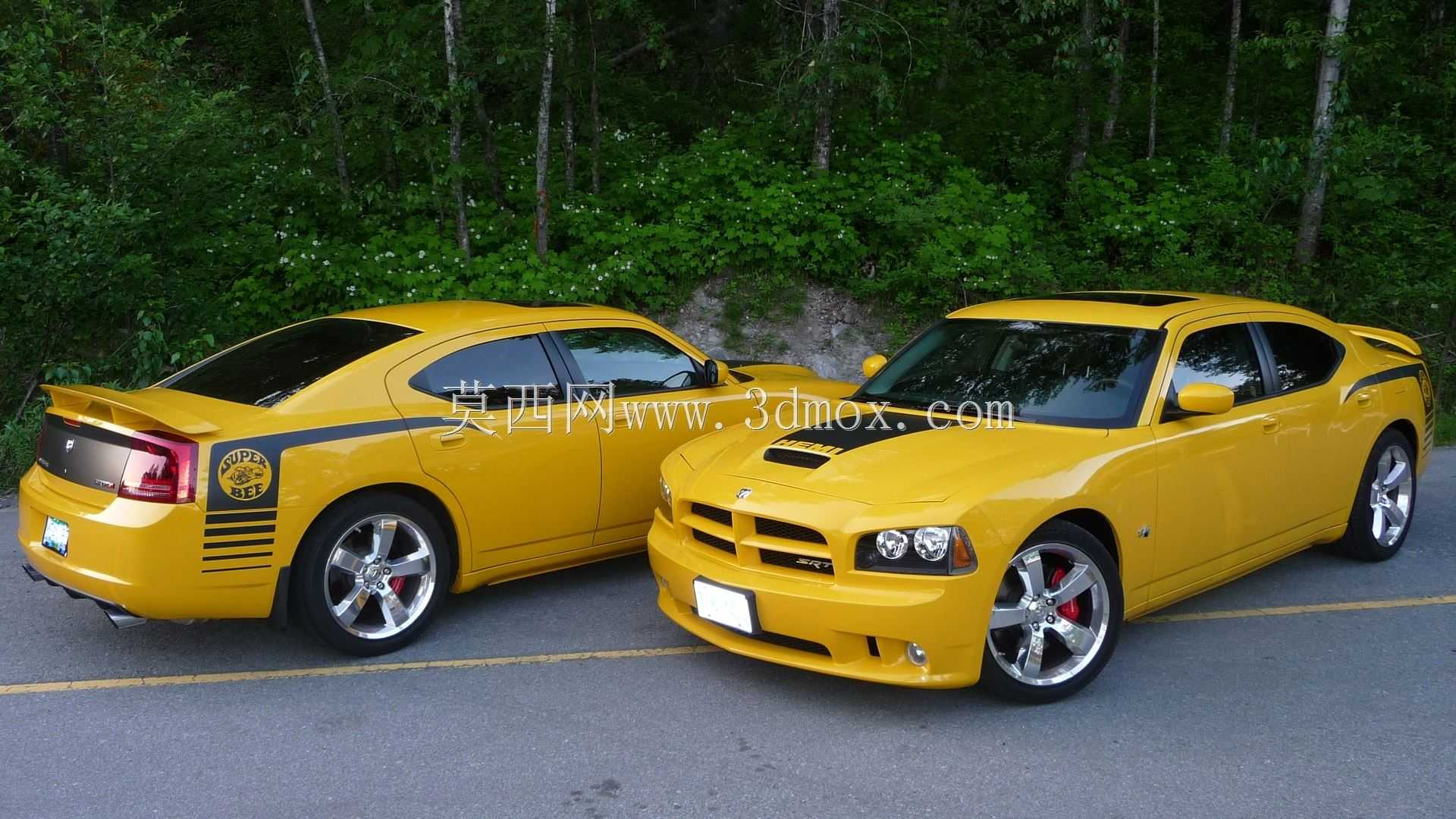��������2005