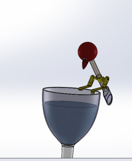 有水的鸟