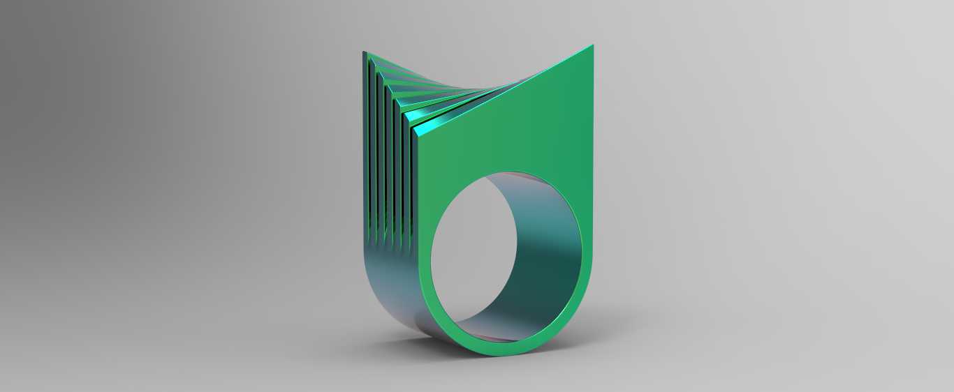 ָ��