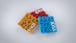 iDSA������-����1