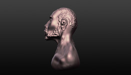 ����sculp������scultris alpha 6