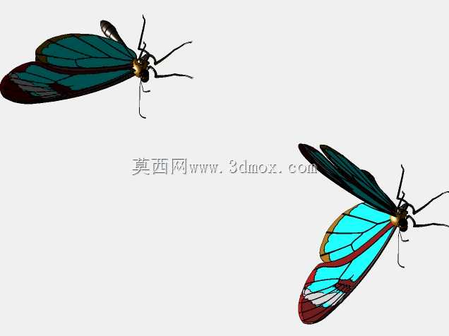 透翅蝶