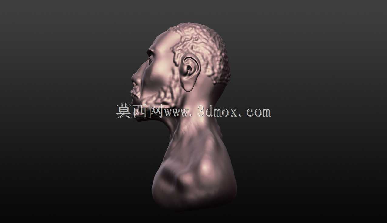 ����sculp������scultris alpha 6
