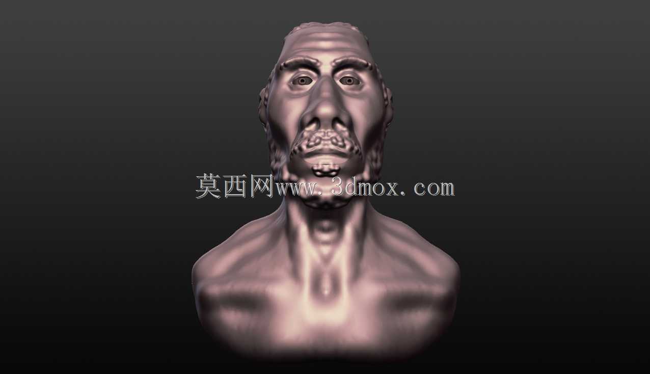 ����sculp������scultris alpha 6