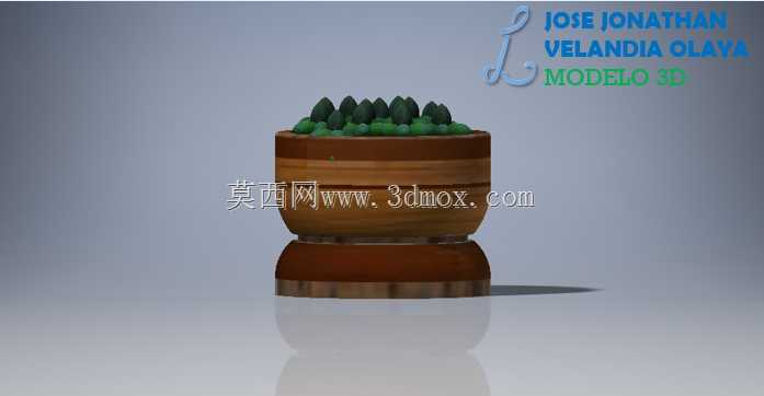����������-���㻨��