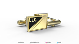 LLC���