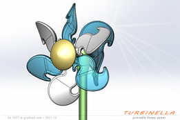 ��������-TURBINELLA