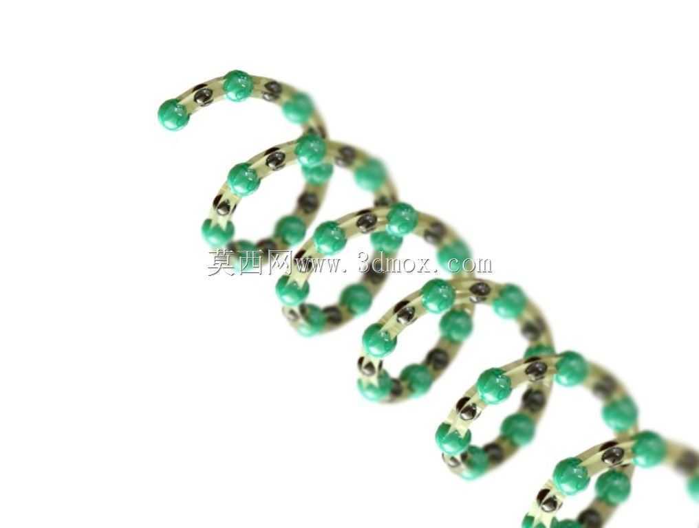 ��������DNA