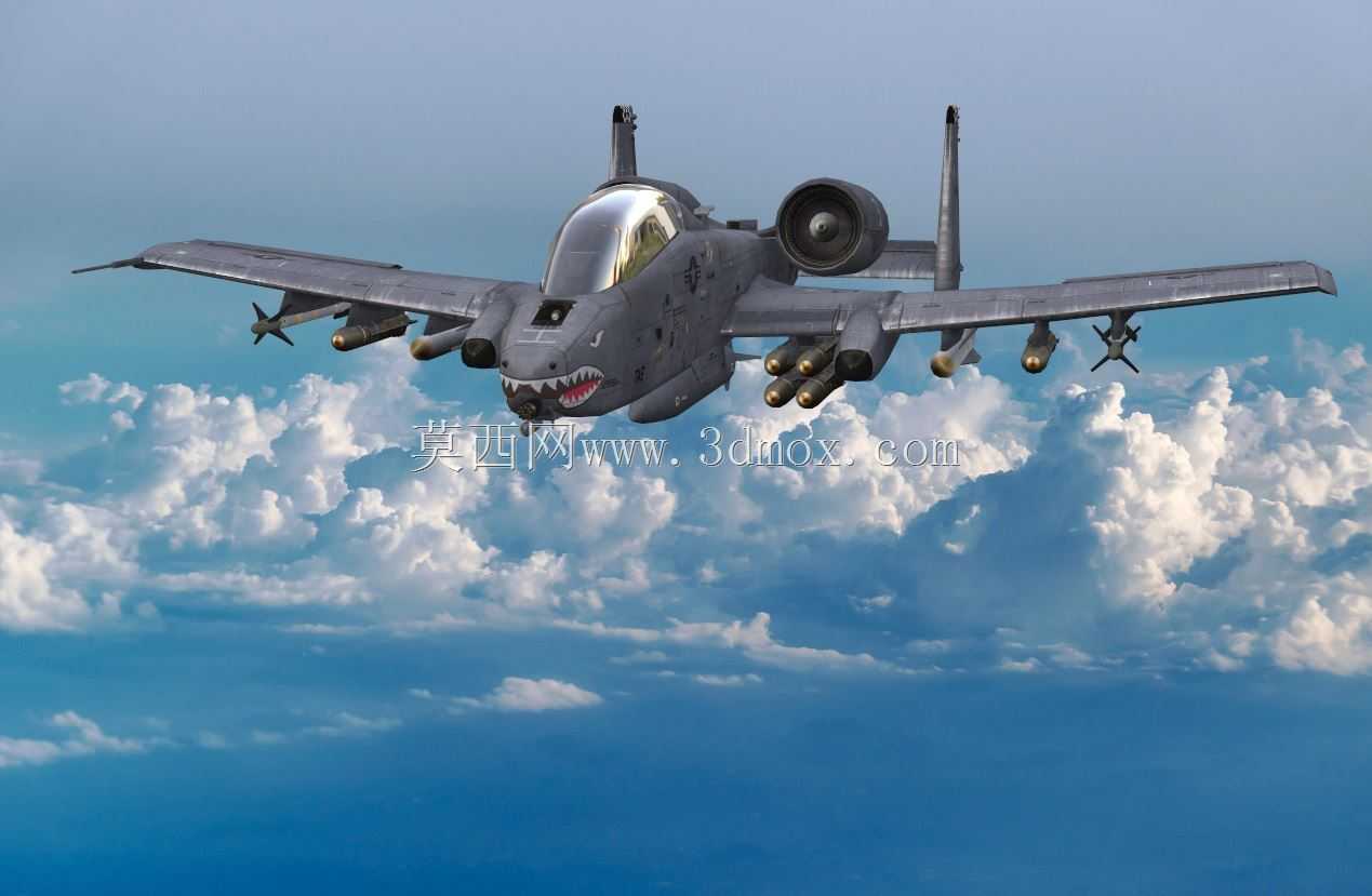 A-10����II