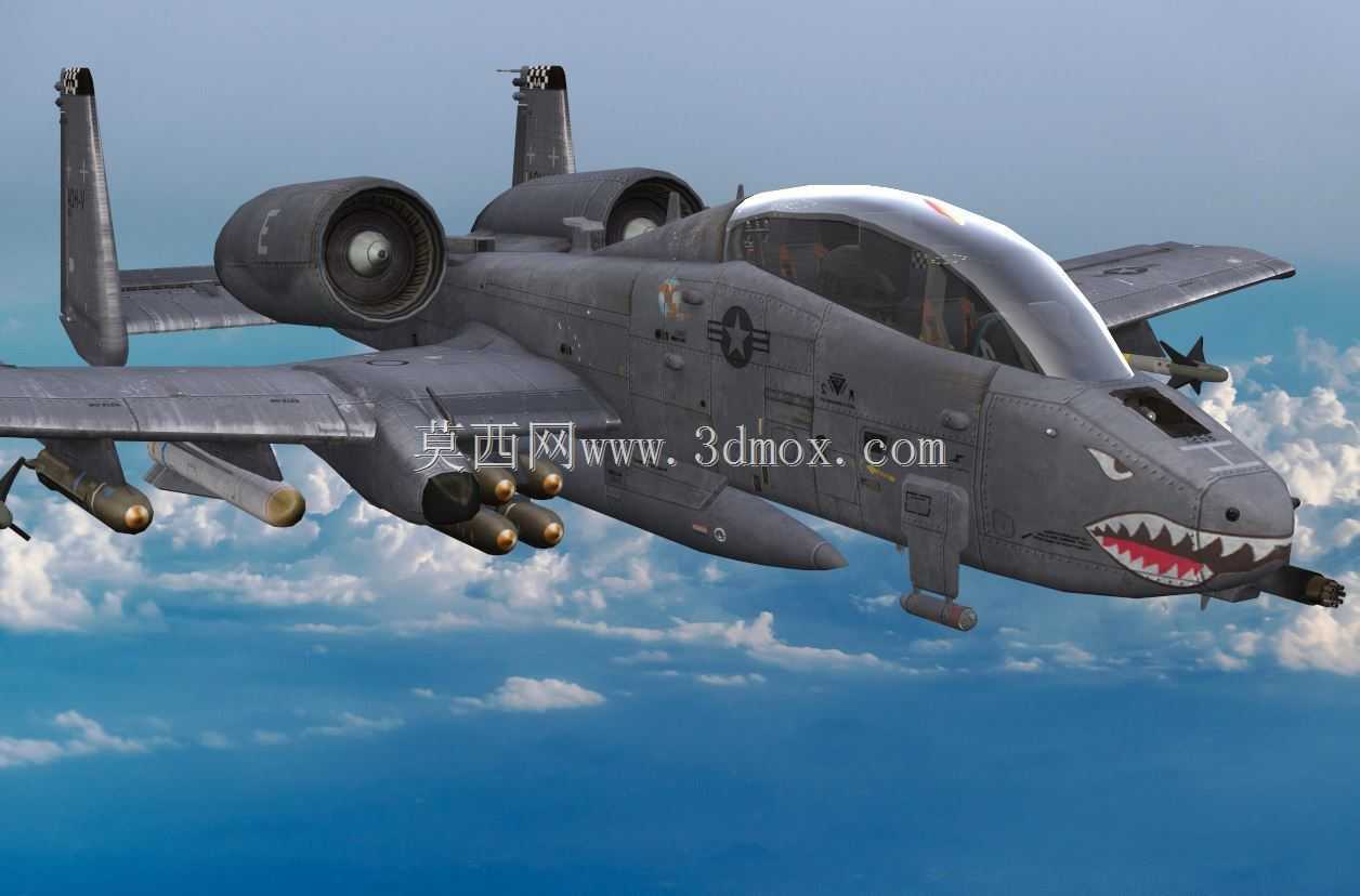 A-10����II