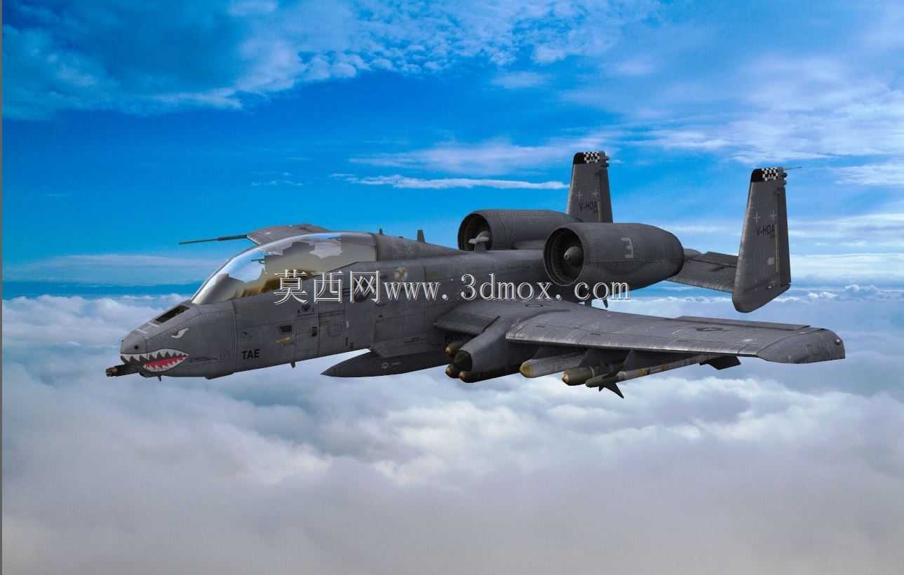 A-10����II