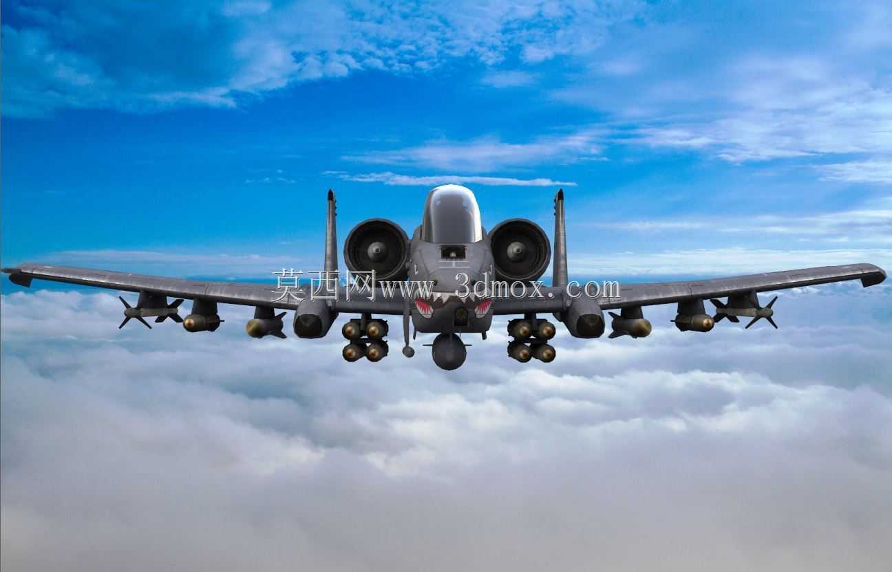 A-10����II