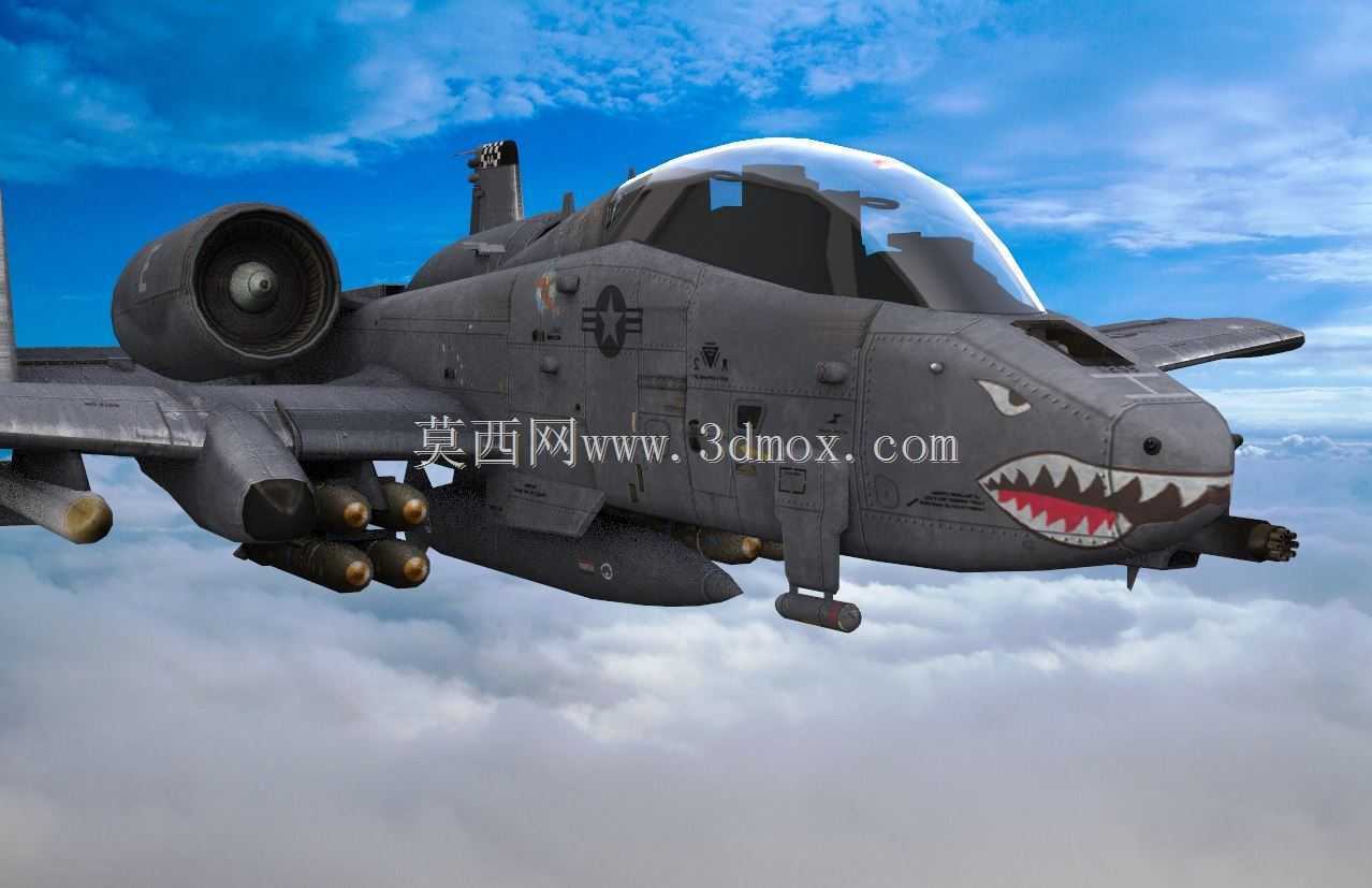 A-10����II