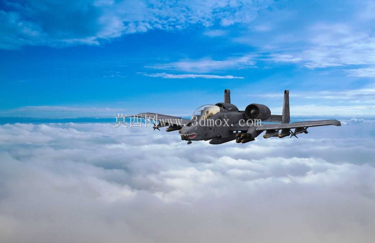 A-10����II