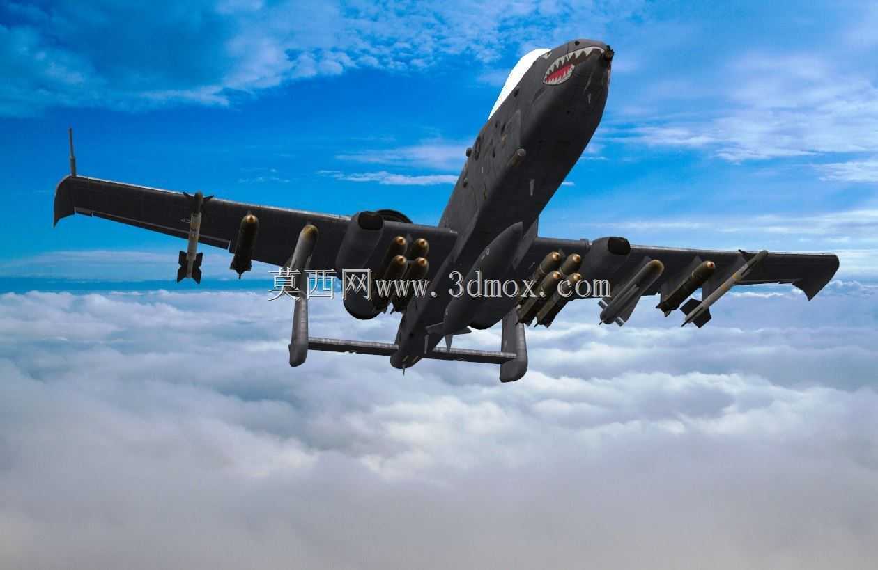 A-10����II