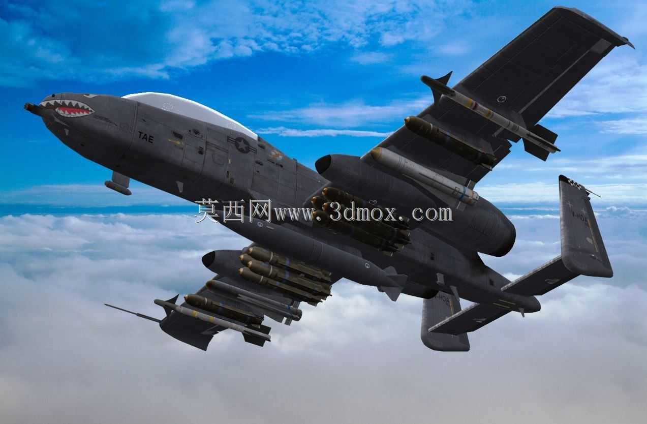 A-10����II