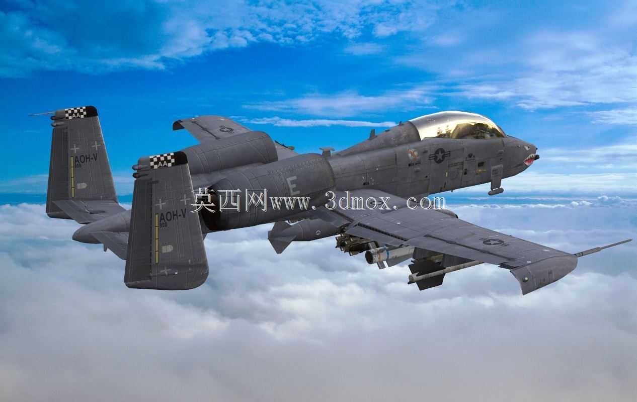 A-10����II