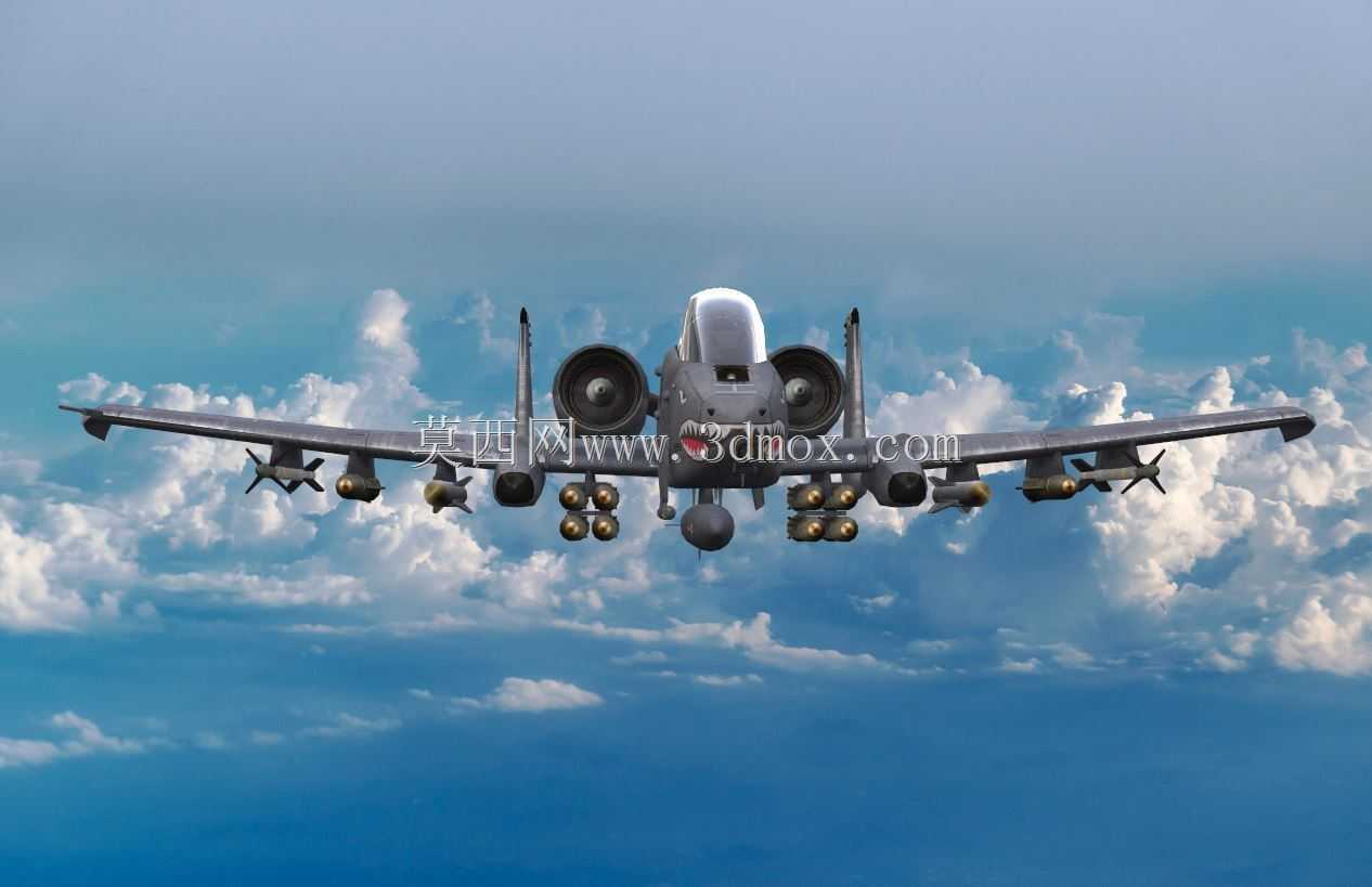 A-10����II
