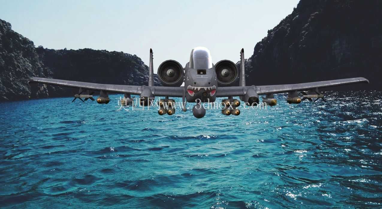 A-10����II