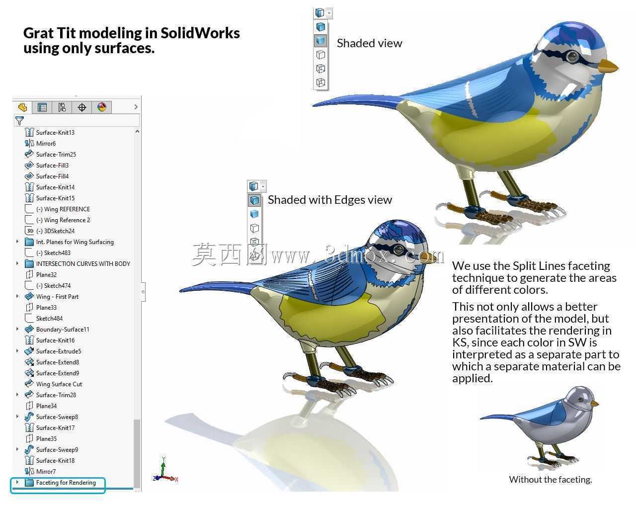 大山雀(SolidWorks中)