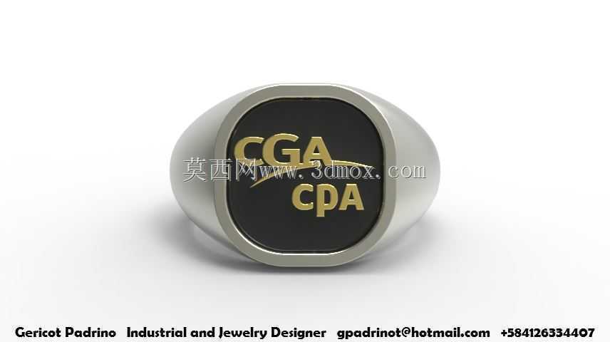 CGA-CPAͼ�»�