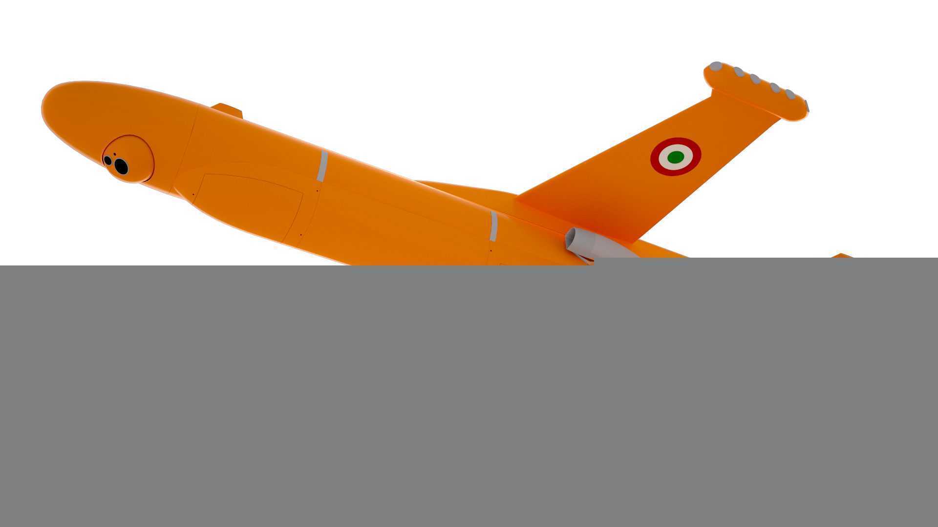 ���˻�-FLIR-Nibbio