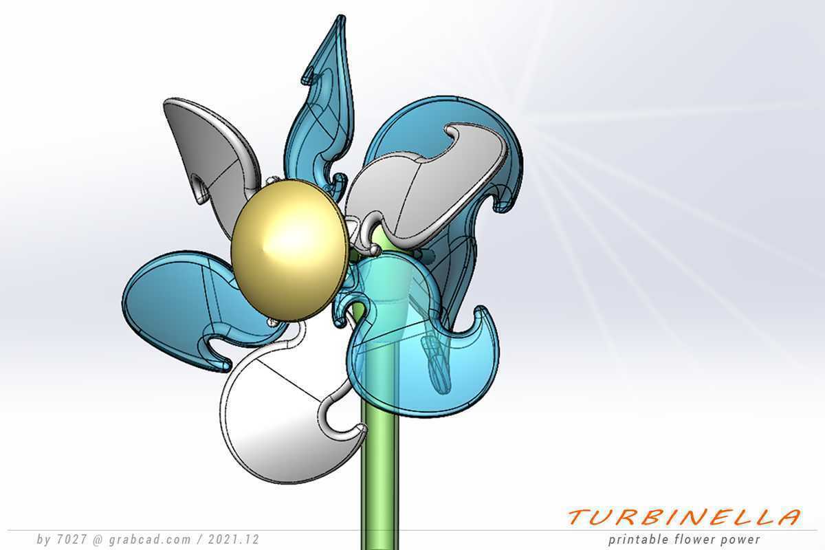 花的力量-TURBINELLA!
