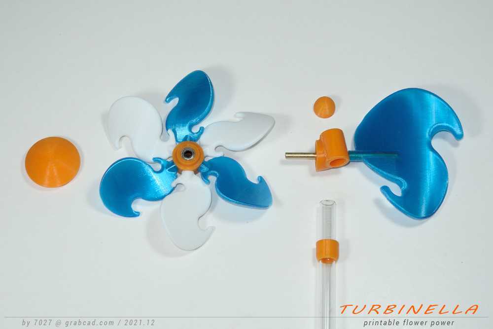 花的力量-TURBINELLA!
